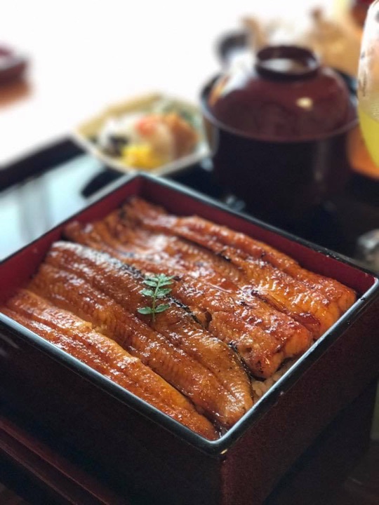 コース料理